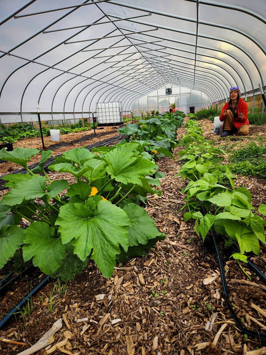 Annie laughing inside the high tunnel beside rows of squash and beans