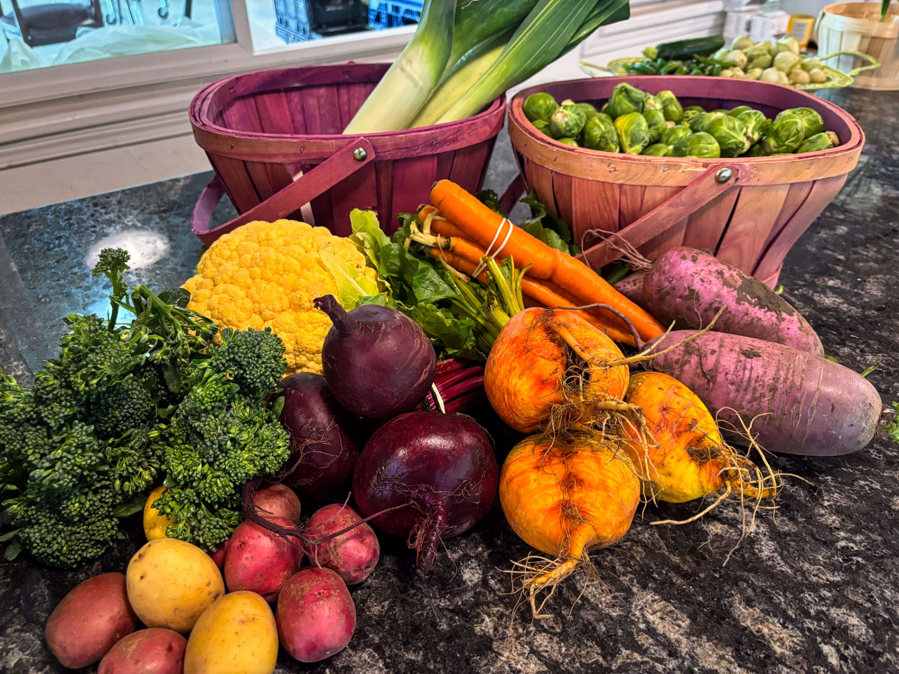Colorful harvest of root vegetables and brassicas on the counter