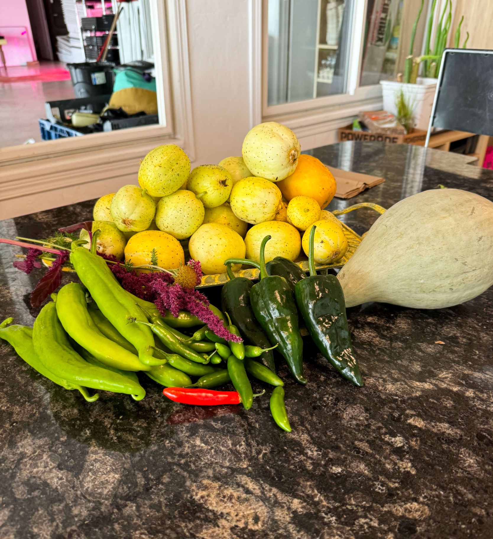 Counter spread of lemon cucumbers, peppers and a heirloom squash