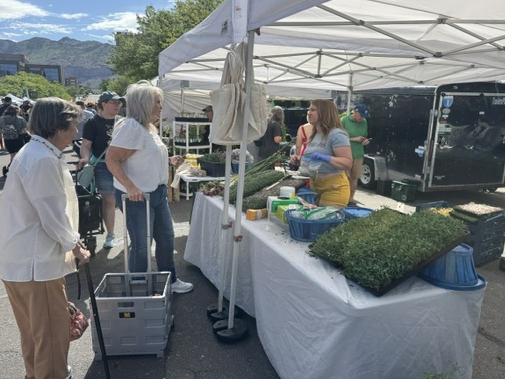 Local food access