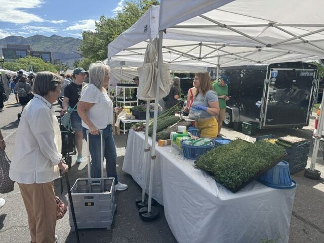 Customers visiting the Urban Prairie booth at the Ogden Farmers Market with the Wasatch behind