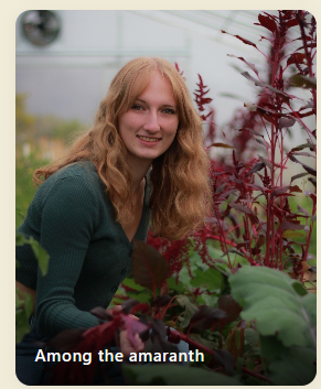 Grower kneeling beside towering red amaranth in the greenhouse