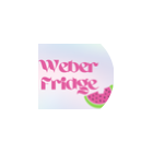 Weber Fridge
