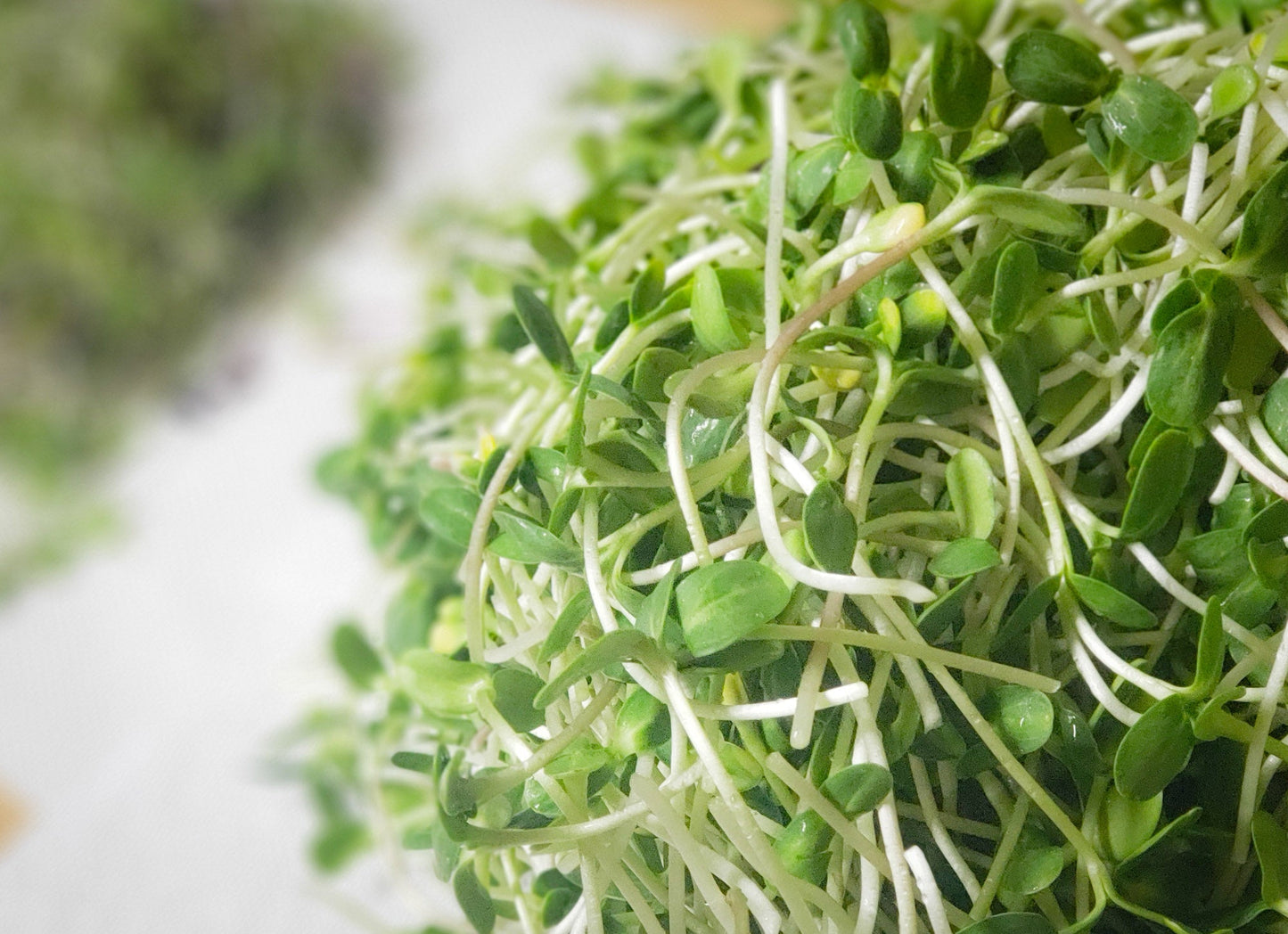 Microgreens - By Weight