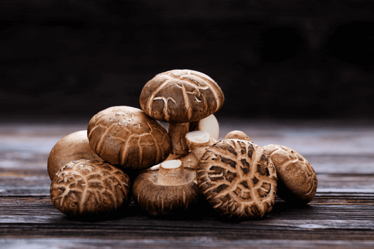 Shiitake Mushroom - 1 lb.