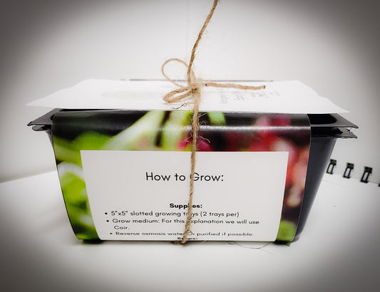 Grow Our Own Microgreen Kit